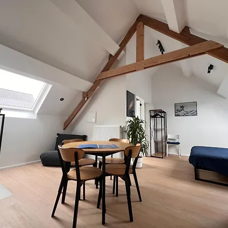 Laurent - Gitoo Apartment Ghent