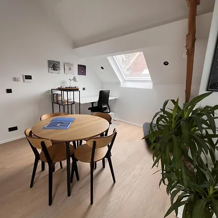 Laurent - Gitoo Apartment Ghent